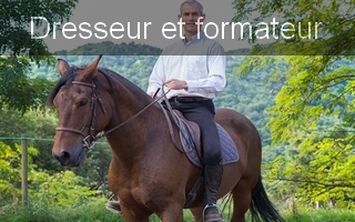 equitation adaptee