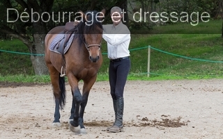 Ecole equitation d�bourrage dressage